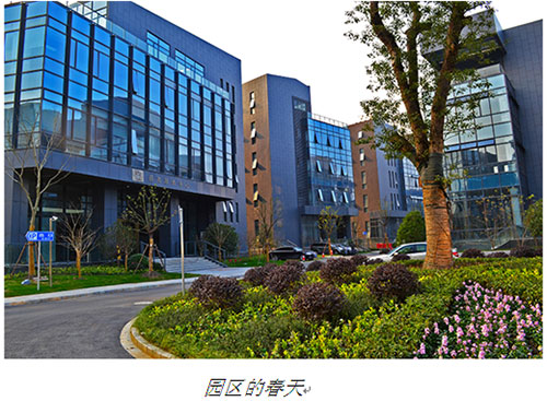 AG旗舰厅 (中国大陆) Apple Store